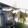 Casa de Un Piso con Patio en Venta Sector la Palmilla: