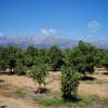 Venta de Parcelas de 5000 Metros Laguna de Aculeo, Paine: